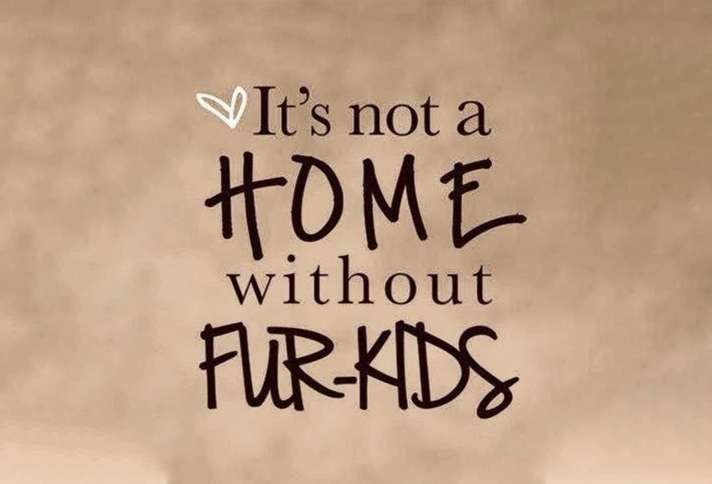 Our Furry Friends by Laurie Nilsen