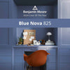 BENJAMIN MOORE COLOR OF THE YEAR 2024