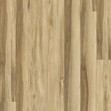 Underthecanopysd Vinyl Commercial by Shaw Floors in the color Castagna sample demonstrating pattern and color.