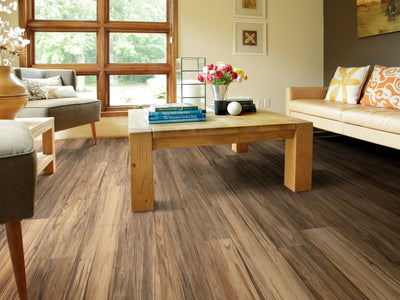 Underthecanopysd Vinyl Commercial by Shaw Floors in the color Caplone flooring in a home, showing the finished look.