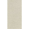 All In One Residential Carpet by Shaw Floors in the color Latte. Sample of beiges carpet pattern and texture.