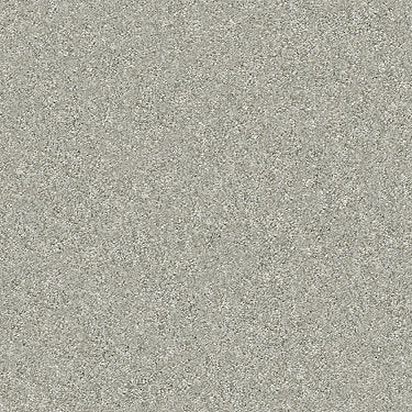Attainable Residential Carpet by Shaw Floors in the color Soft Fleece. Sample of  carpet pattern and texture.
