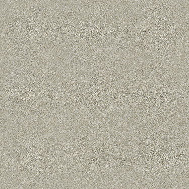 Attainable Residential Carpet by Shaw Floors in the color Desert Light. Sample of beiges carpet pattern and texture.
