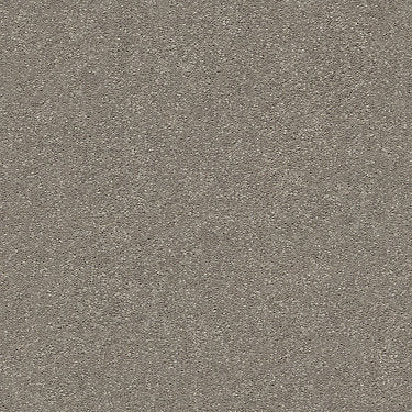 Attainable Residential Carpet by Shaw Floors in the color Smooth Taupe. Sample of  carpet pattern and texture.