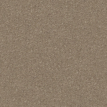 Attainable Residential Carpet by Shaw Floors in the color Cork. Sample of beiges carpet pattern and texture.