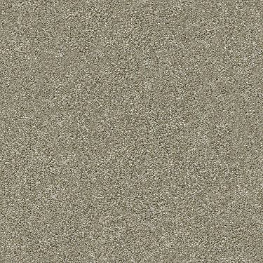 Attainable Residential Carpet by Shaw Floors in the color Grecian Tan. Sample of  carpet pattern and texture.