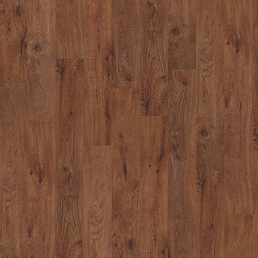New Market 6 Vinyl Residential by Shaw Floors in the color Burlington sample demonstrating pattern and color.