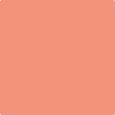 019 Salmon Run