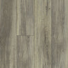 Tivoli Plus Vinyl Residential by Shaw Floors in the color Delfino sample demonstrating pattern and color.