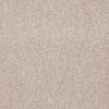 Riva Lake Commercial Carpet by Philadelphia Commercial in the color Desert Dune. Sample of beiges carpet pattern and texture.
