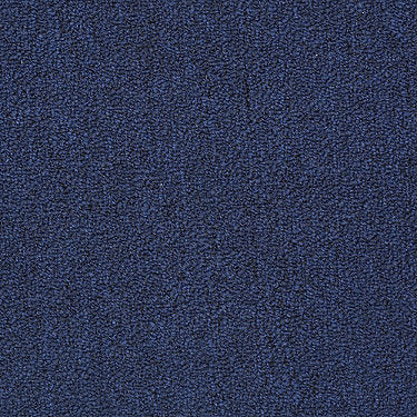 Riva Lake Commercial Carpet by Philadelphia Commercial in the color Black Lapis. Sample of blues carpet pattern and texture.