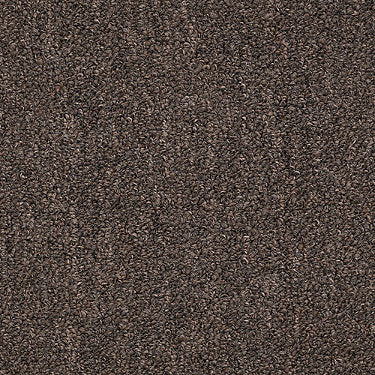 Riva Lake Commercial Carpet by Philadelphia Commercial in the color Derby Brown. Sample of browns carpet pattern and texture.