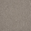 Riva Lake Commercial Carpet by Philadelphia Commercial in the color Harvest Grain. Sample of browns carpet pattern and texture.
