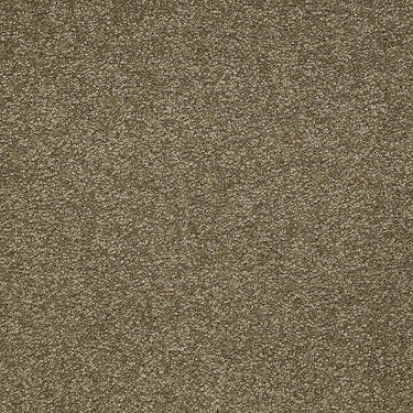 Ultimate Expression 15' Residential Carpet by Shaw Floors in the color Green Tea. Sample of greens carpet pattern and texture.