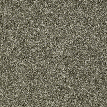 Ultimate Expression 15' Residential Carpet by Shaw Floors in the color Alpine Fern. Sample of greens carpet pattern and texture.