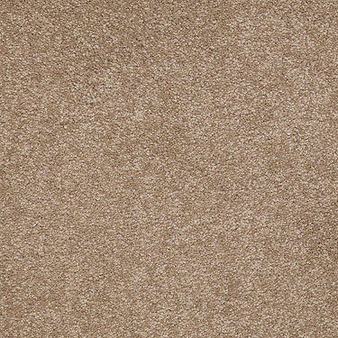 Ultimate Expression 15' Residential Carpet by Shaw Floors in the color Muffin. Sample of browns carpet pattern and texture.
