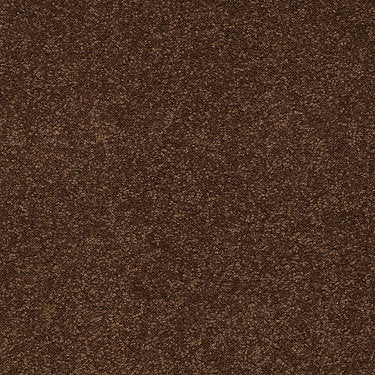 Ultimate Expression 15' Residential Carpet by Shaw Floors in the color Tortoise Shell. Sample of browns carpet pattern and texture.