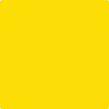 2022-30 Bright Yellow