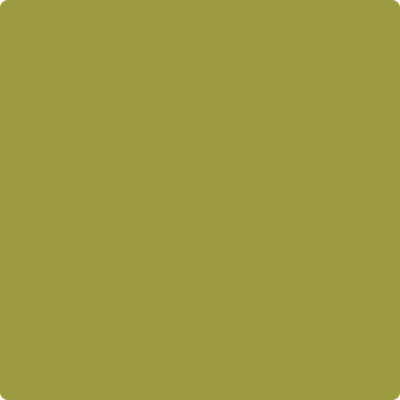 2146-20 Forest Moss