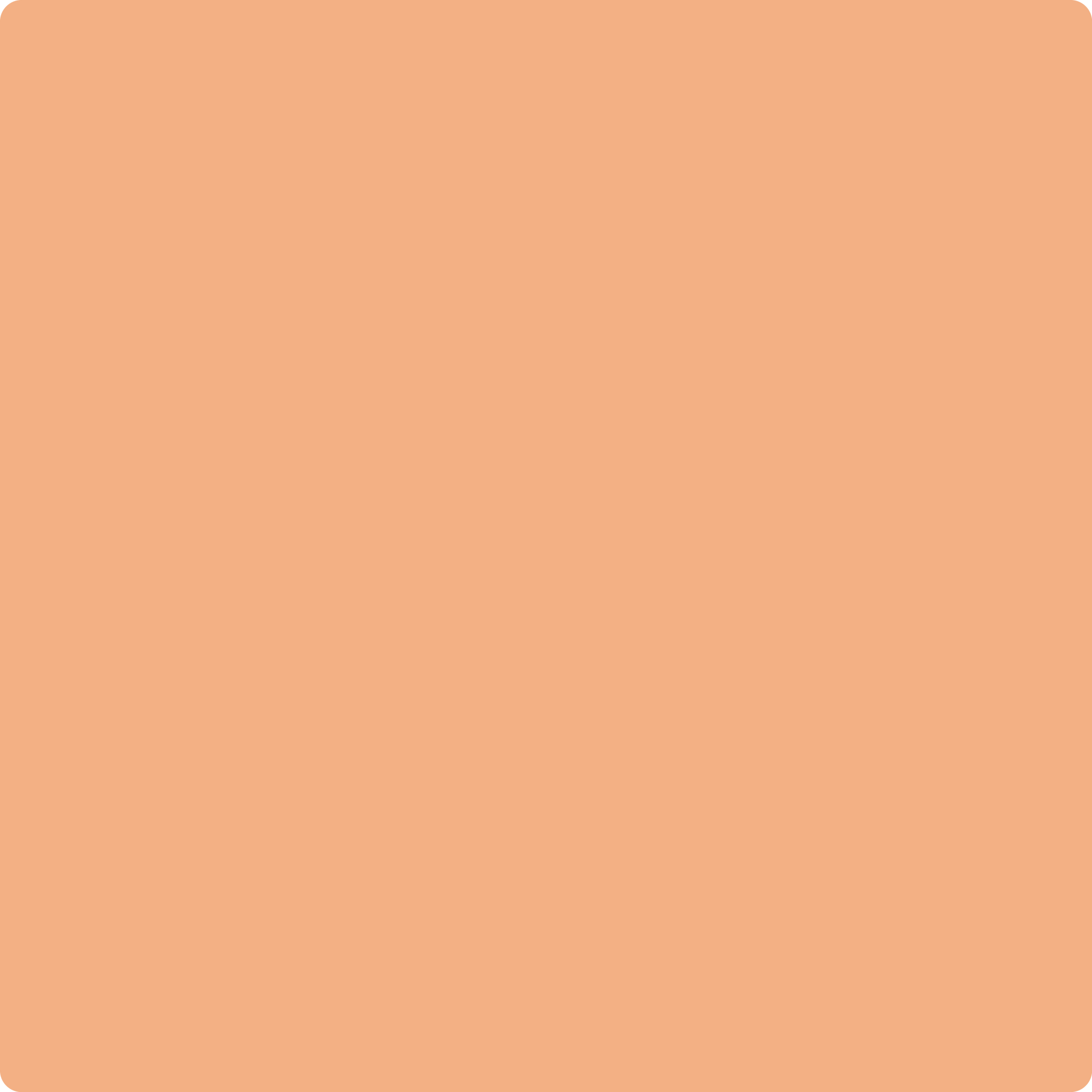 Benjamin Moore Color 2167-40 Toffee Orange