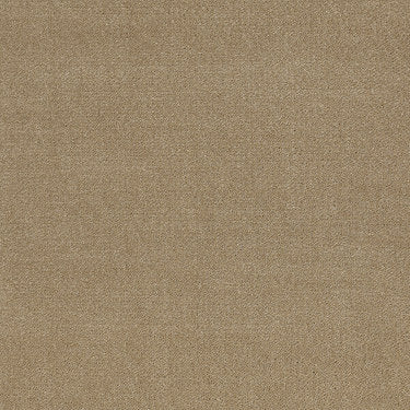 Emphatic 30 Residential Carpet by Philadelphia Commercial in the color Burlap. Sample of beiges carpet pattern and texture.