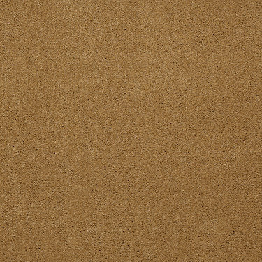 Emphatic 30 Residential Carpet by Philadelphia Commercial in the color Gold Coast. Sample of golds carpet pattern and texture.