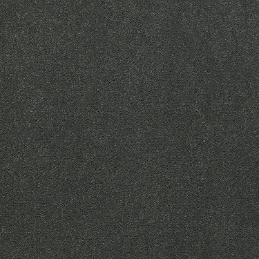 Emphatic 30 Residential Carpet by Philadelphia Commercial in the color Cool Attitude. Sample of greens carpet pattern and texture.