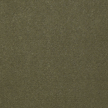 Emphatic 30 Residential Carpet by Philadelphia Commercial in the color Beach Retreat. Sample of greens carpet pattern and texture.