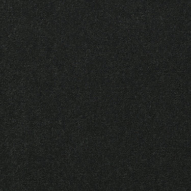 Emphatic 30 Residential Carpet by Philadelphia Commercial in the color Forest Dusk. Sample of greens carpet pattern and texture.