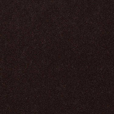 Emphatic 30 Residential Carpet by Philadelphia Commercial in the color Artisan Brown. Sample of browns carpet pattern and texture.