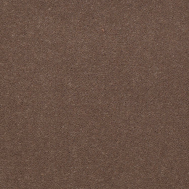 Emphatic 30 Residential Carpet by Philadelphia Commercial in the color Koala. Sample of browns carpet pattern and texture.