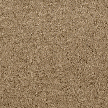 Emphatic 36 Residential Carpet by Philadelphia Commercial in the color Straw Market. Sample of beiges carpet pattern and texture.