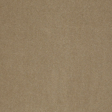 Emphatic 36 Residential Carpet by Philadelphia Commercial in the color Burlap. Sample of beiges carpet pattern and texture.