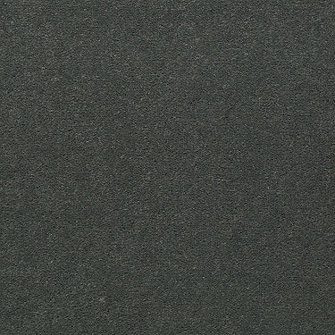 Emphatic 36 Residential Carpet by Philadelphia Commercial in the color Cool Attitude. Sample of greens carpet pattern and texture.