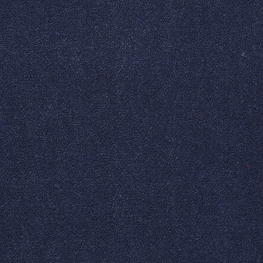 Emphatic 36 Residential Carpet by Philadelphia Commercial in the color Legendary Blues. Sample of blues carpet pattern and texture.