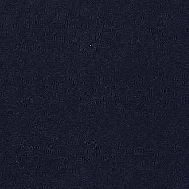 Emphatic 36 Residential Carpet by Philadelphia Commercial in the color Black Sapphire. Sample of blues carpet pattern and texture.