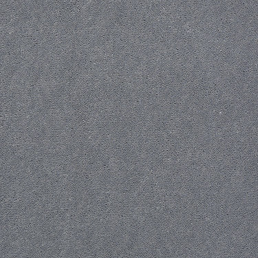 Emphatic 36 Residential Carpet by Philadelphia Commercial in the color Platinum. Sample of grays carpet pattern and texture.
