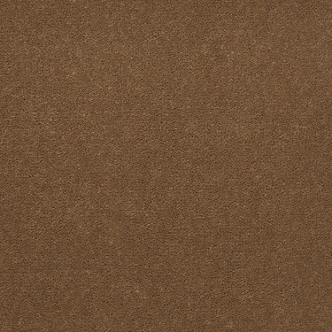 Emphatic 36 Residential Carpet by Philadelphia Commercial in the color Craftsman Tan. Sample of browns carpet pattern and texture.