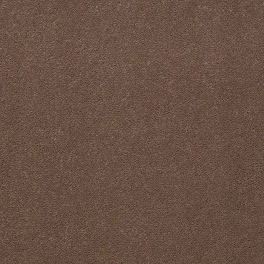 Emphatic 36 Residential Carpet by Philadelphia Commercial in the color Koala. Sample of browns carpet pattern and texture.