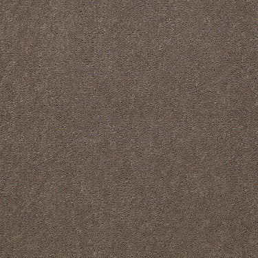 Emphatic 36 Residential Carpet by Philadelphia Commercial in the color Top Taupe. Sample of browns carpet pattern and texture.