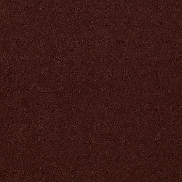 Emphatic 36 Residential Carpet by Philadelphia Commercial in the color Ground Cinnamon. Sample of reds carpet pattern and texture.