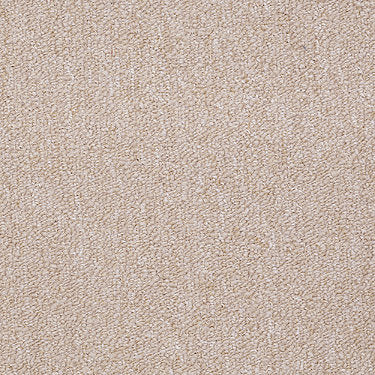 Winchester Commercial Carpet by Philadelphia Commercial in the color Berber Beige. Sample of beiges carpet pattern and texture.