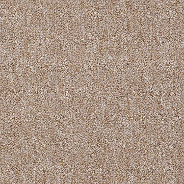 Winchester Commercial Carpet by Philadelphia Commercial in the color Gold Rush. Sample of golds carpet pattern and texture.