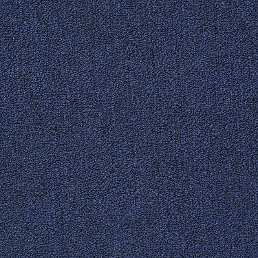 Winchester Commercial Carpet by Philadelphia Commercial in the color Navy Seal. Sample of blues carpet pattern and texture.