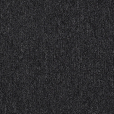 Winchester Commercial Carpet by Philadelphia Commercial in the color Black Stallion. Sample of grays carpet pattern and texture.
