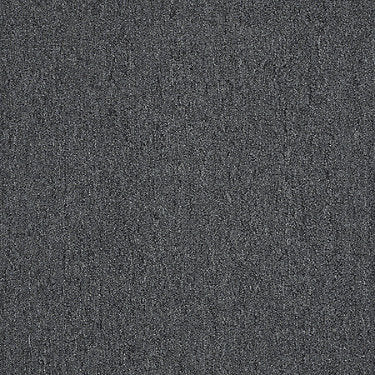 Winchester Commercial Carpet by Philadelphia Commercial in the color Stingray. Sample of grays carpet pattern and texture.