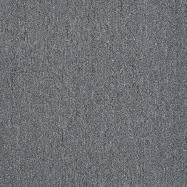 Winchester Commercial Carpet by Philadelphia Commercial in the color Grindstone. Sample of grays carpet pattern and texture.
