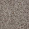 Winchester Commercial Carpet by Philadelphia Commercial in the color Desert Dune. Sample of browns carpet pattern and texture.