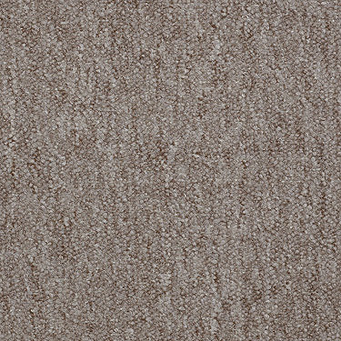Winchester Commercial Carpet by Philadelphia Commercial in the color Desert Dune. Sample of browns carpet pattern and texture.