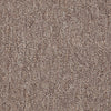 Winchester Commercial Carpet by Philadelphia Commercial in the color Covered Wagon. Sample of browns carpet pattern and texture.